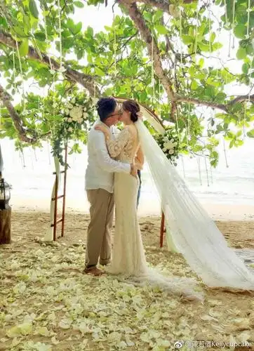 林志颖老婆陈若仪性感优雅