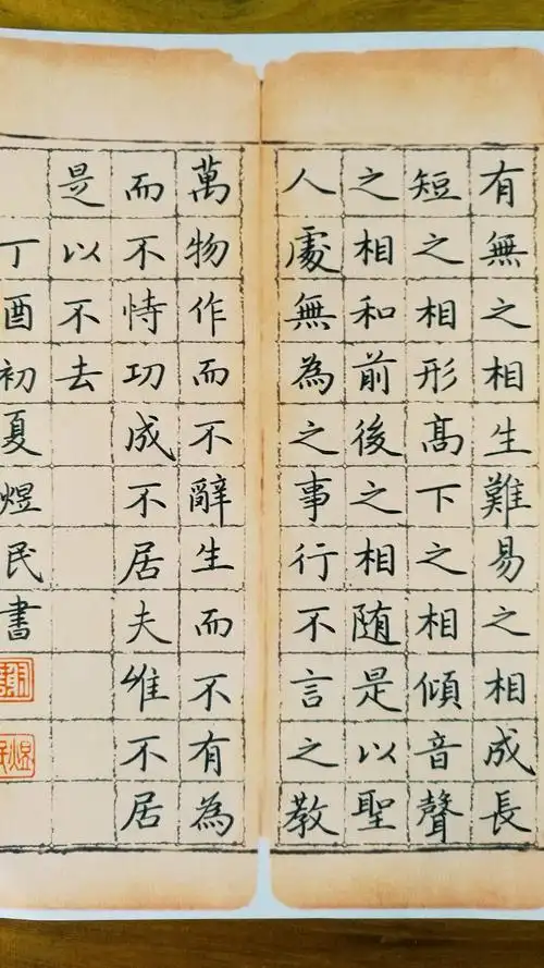 硬笔临赵孟頫道德经