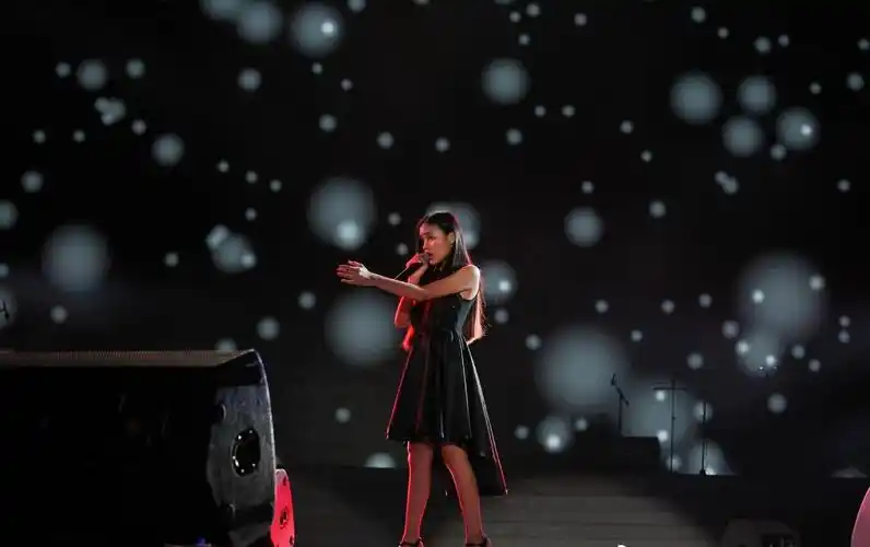 汤晶锦(马来西亚女歌手) - 平安百科网