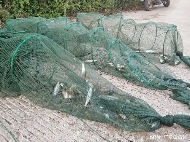 农村生活下地笼捕虾最好地方,用什么饵饵最好,据小邓了解说一说