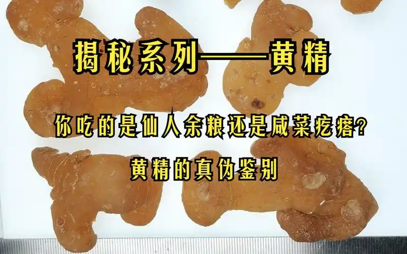 中药黄精,又名黄精草,是一种常见的中药药材,原产于我国的西南地区,多