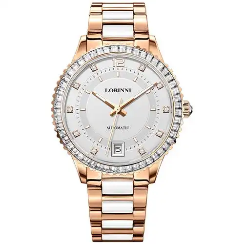 罗宾尼女士手表简约气质品牌品牌机机械表水钻女表国产腕表