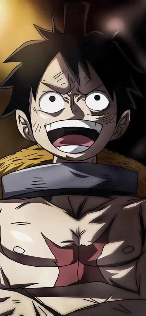 请问谁有海贼王精美壁纸全部人物大全跪求,1601084363@qq