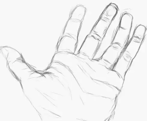求几张素描的手掌图片,,谢谢.简单一点的.
