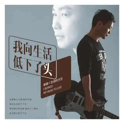 吉他的天空我向生活低下了头