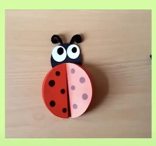 可爱的七星瓢虫就完成了