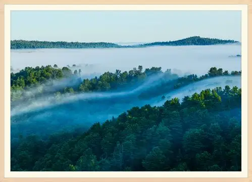秋日林海晨雾美