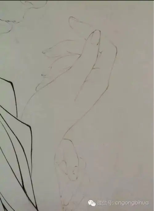 工笔人物写生——白描与设色_画法