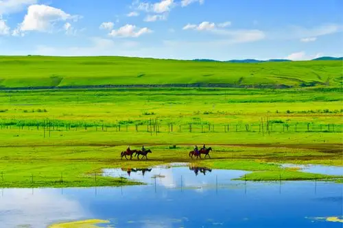 呼伦贝尔大草原的深处有一个美丽迷人的地方