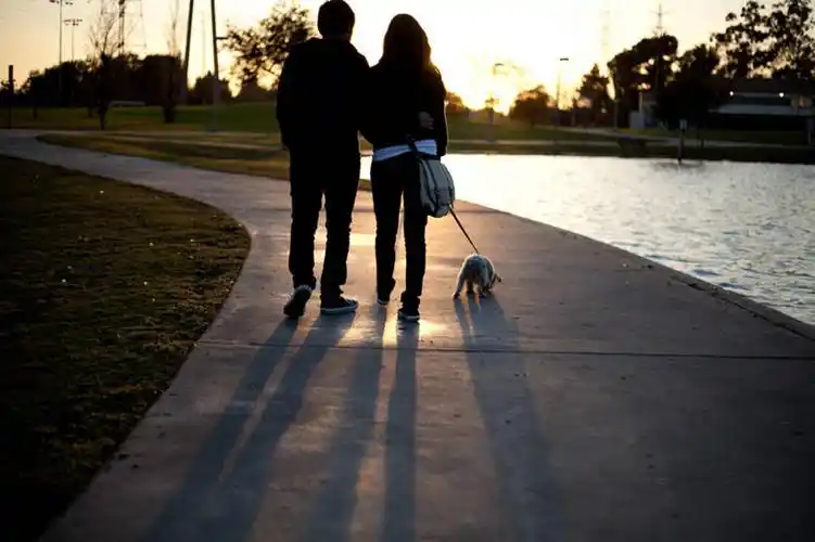 成年人,两个人,夫妻,横图,室外,白天,爱情,河流,路,宠物,狗,美国,连接