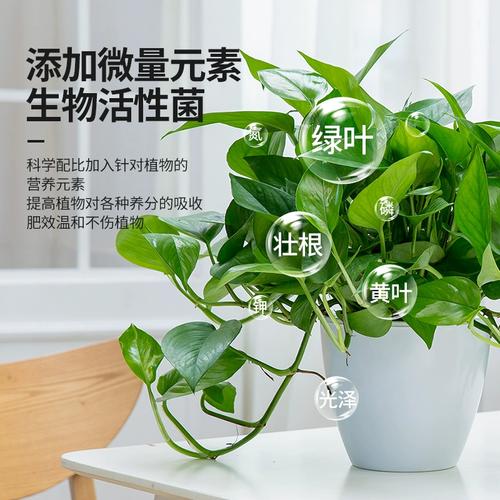 花水培绿植营养液绿植养花卉花草专用促生君子兰绿萝水盆栽}喷施