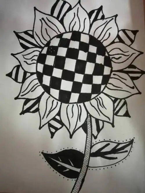 实验小学【杨老师美术小课堂】 六年级《线描画的黑白对比》