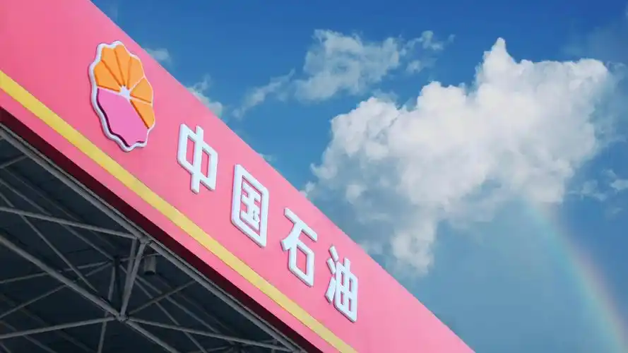 中国石油广泛从事与石油,天然气有关的各项业务,主要包括:原油和