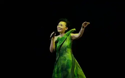 龚琳娜补位我是歌手老辈音乐人能适应年轻舞台