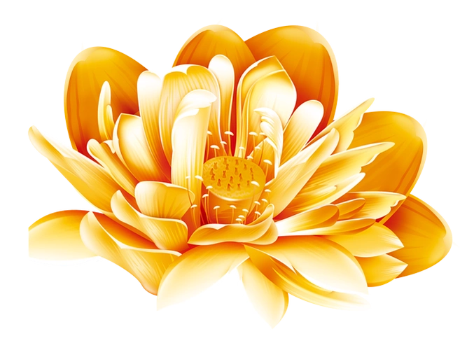 金色荷花png北坤人素材