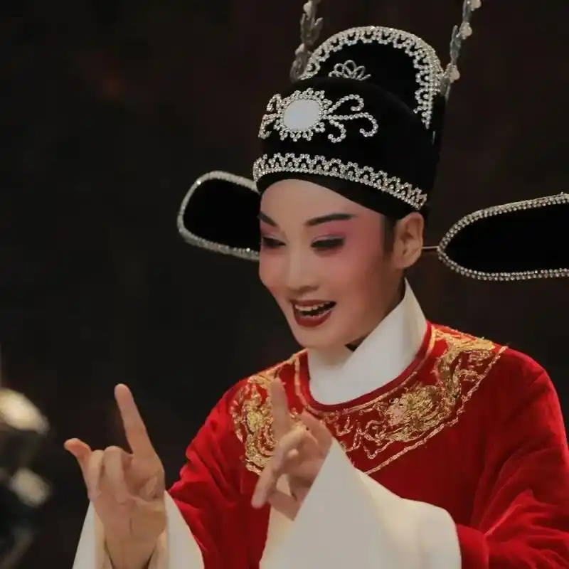 黄梅戏《女驸马》#韩再芬#吴美莲 - 抖音