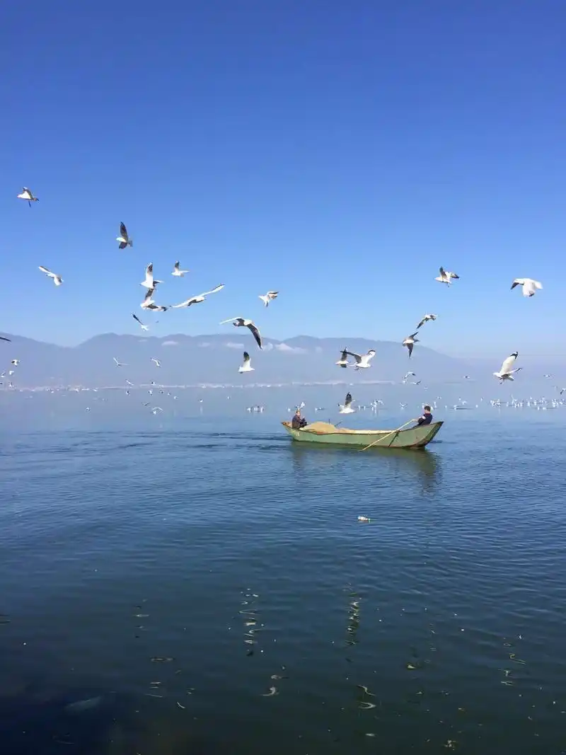 大理洱海景点,洱海的景色很美,美的都觉得不真实,海天一色,风景如画