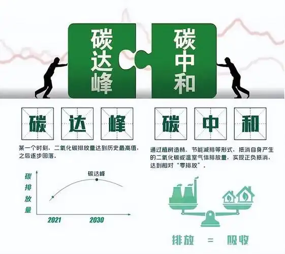 从2020年我国正式提出"双碳"目标(二氧化碳排放力争于2030年前达到
