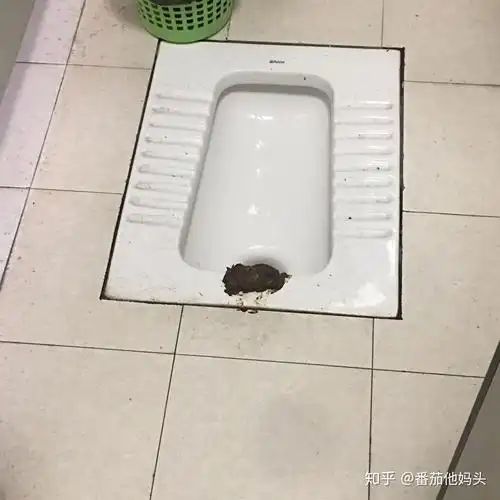公厕会把屎拉在外面,他们在家里也是这样么,难道他们家里的厕所是歪的