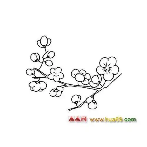 梅花花瓣雨简笔画
