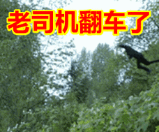 老司机翻车了表情包动态gif表情图片 - 找表情上表情家