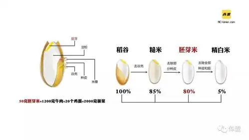 吃了这么多年大米你吃对大米了吗