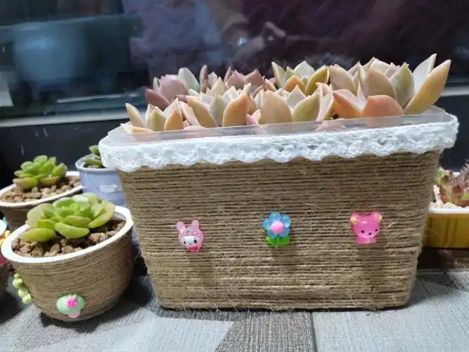 自从养了肉,喝酸奶的杯子都舍不得扔了,忙活了一下午的成果,可还行?