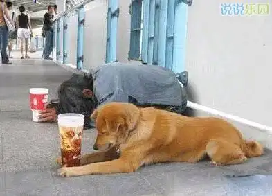 个性搞笑心情说说:多看一部韩剧就多一个老公