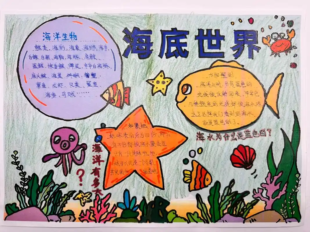 海洋海底世界手抄报 手残党感觉被老师也慢慢逼出作业了…… 软件抄图