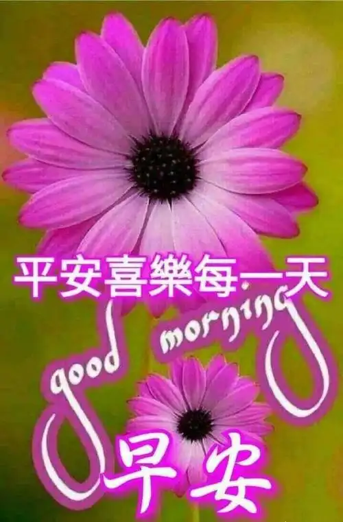 最新清早问候大家早上好漂亮表情,早上好暖心的祝福
