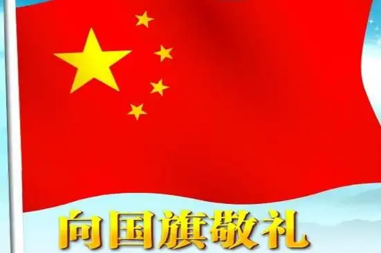 少先队员向国旗敬礼寄语两篇