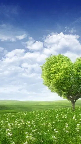 清新田野h5背景