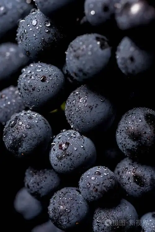 附近,暗串水葡萄浆果滴眼液在黑色背景上孤立的低光