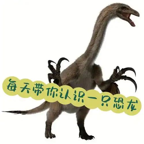 镰刀龙镰刀在手体胖不愁