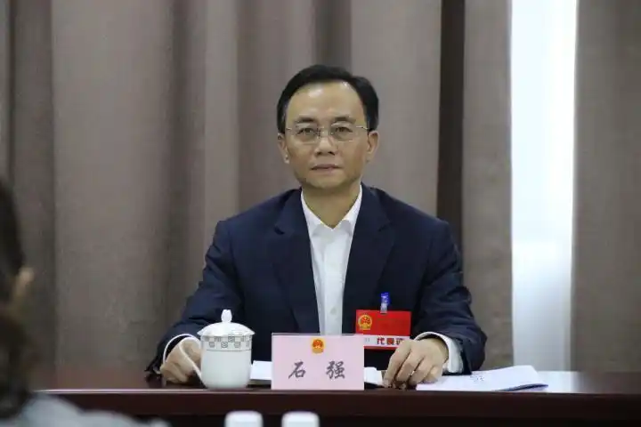 4月8日下午,县委副书记,县长石强来到县十七届人大六次会议第二代表团