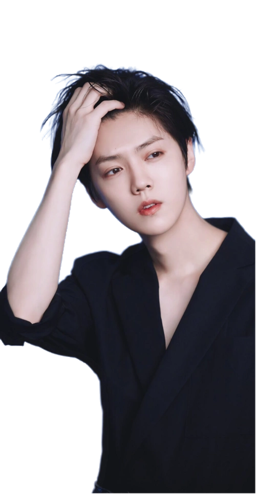 放星星的羊yang从宴九i转采于2021-03-31 15:15:44鹿晗立绘by小祝总