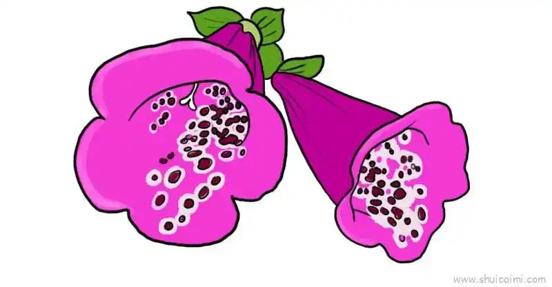 毛地黄儿童画怎么画 毛地黄简笔画简单