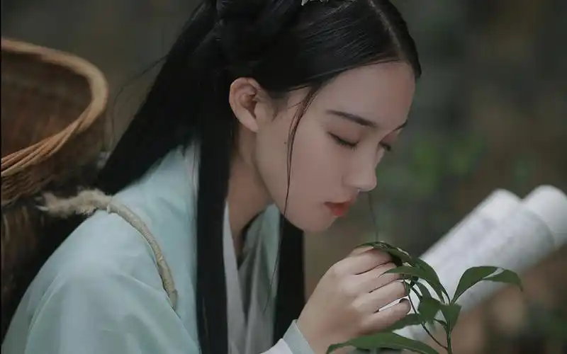 古装青衫医女唯美高清桌面壁纸