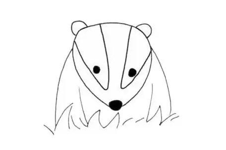 獾的简笔画步骤教程