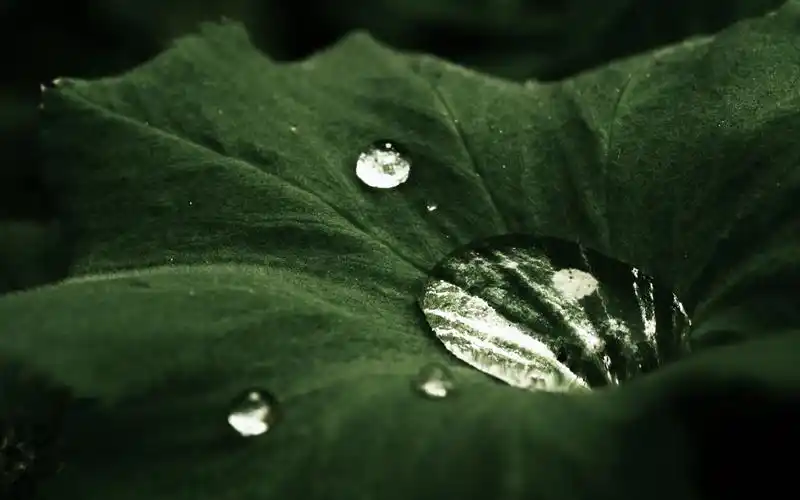 本本啦壁纸 | 每日壁纸 | 14寸高清笔记本电脑桌面壁纸 | 美女壁纸