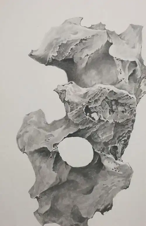 半画堂中国画成人班 | 太湖石写实画法