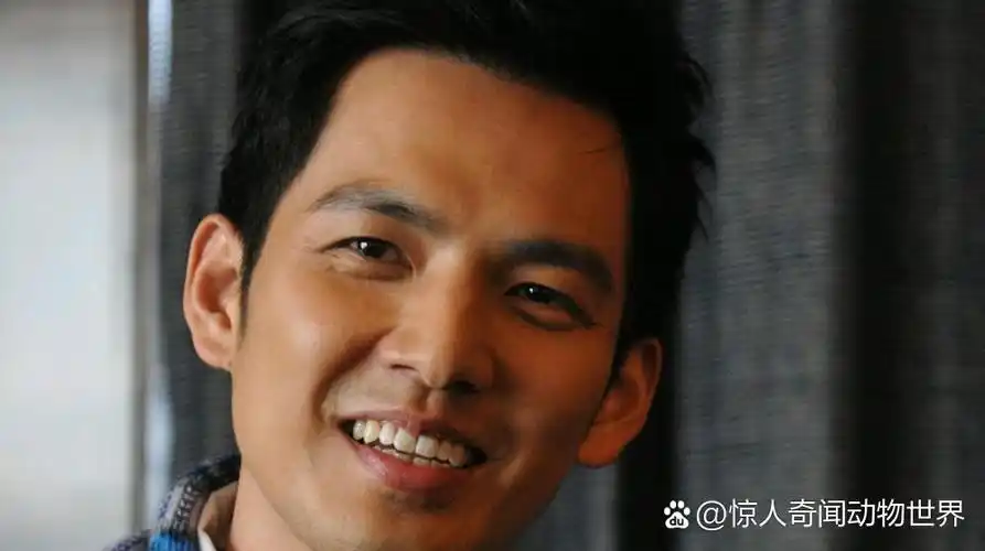 钟汉良:从炙手可热到逐渐淡出,一代人的回忆与情感寄托 钟汉良曾经以