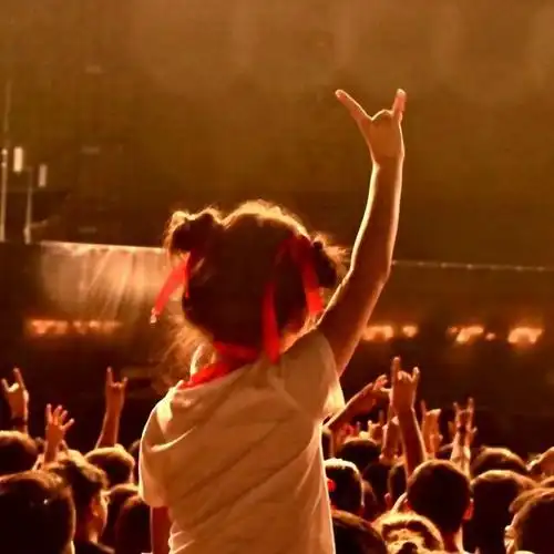 一张痛仰现场的图