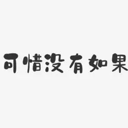 可惜没有如果-石头黑白文字