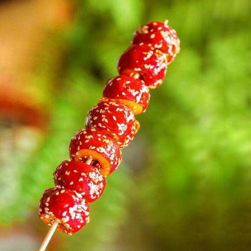 吃完火锅怎么能不吃一颗四季都不化冰糖葫芦约17颗