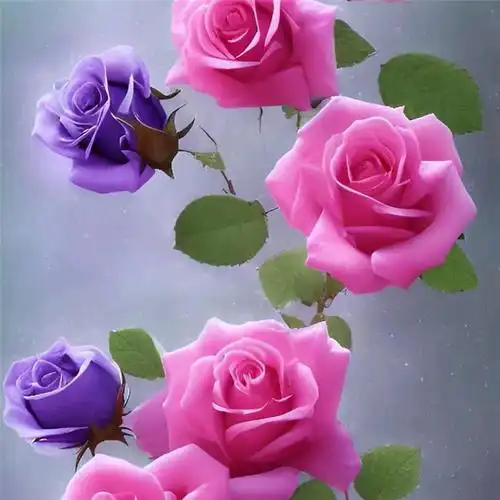 玫瑰花图片唯美头像 高级浪漫最好看的玫瑰花头像_植物头像_头像屋