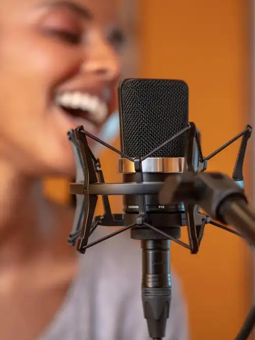 neumann诺音tlm102u87ai录音电容麦克风配音直播话筒话筒