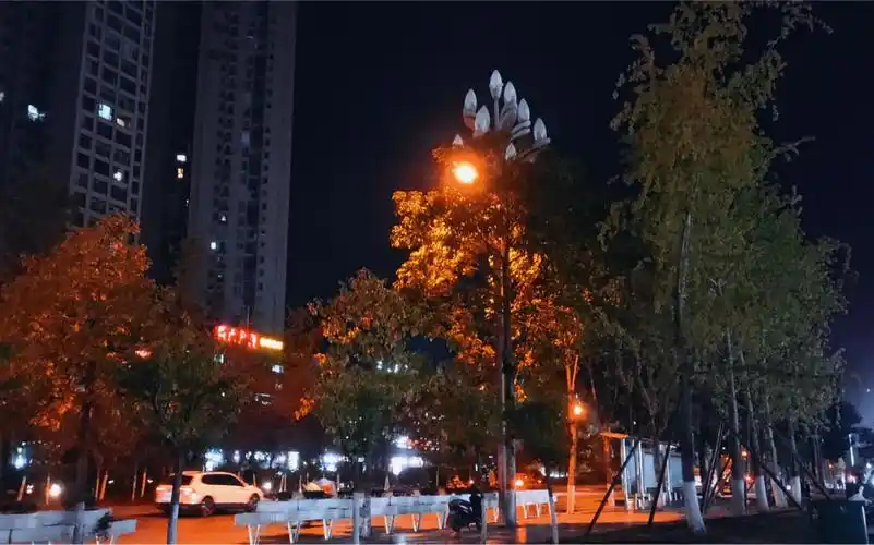 第1976期 | 城市街道夜晚 夜景车流 霓虹灯光 夜色下车辆行驶 情绪