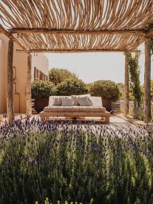 回归乡村与田园,享受花园和田野中的午后时光.