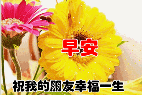 11月17日非常好看的早上好图片精美早上好动态图片问候